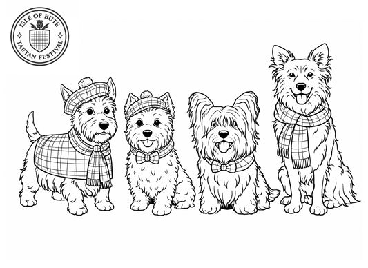 Free Tartan Festival Activity Download